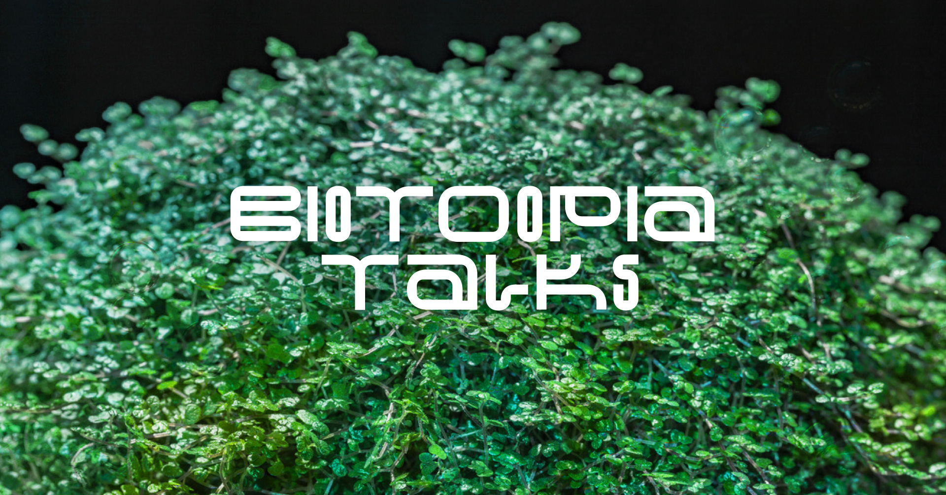 Biotoopia’s new Talks series will bring together young people and experts to discuss solutions to the environmental crisis