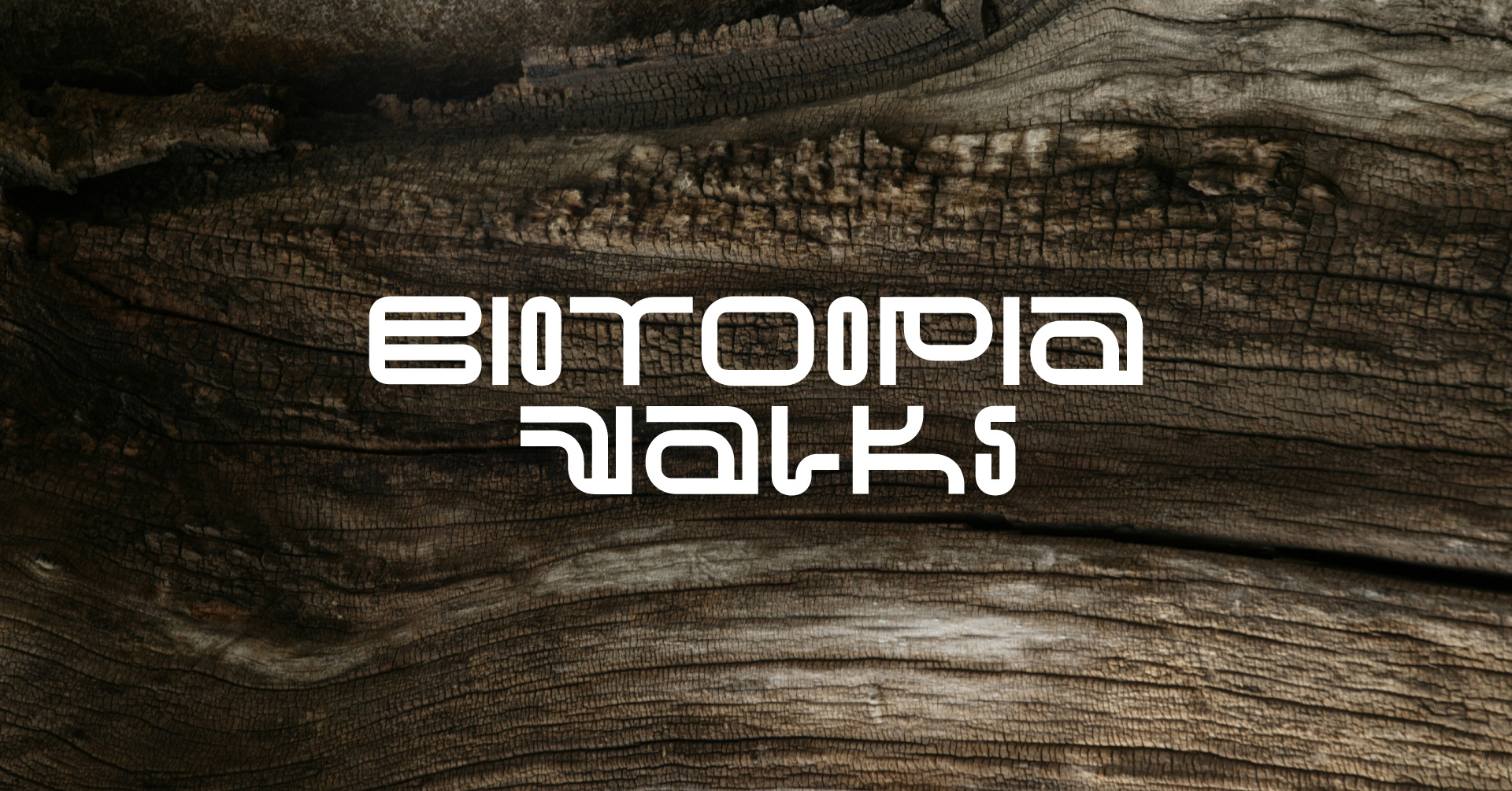 Biotoopia’22 Walks: Interspieces City